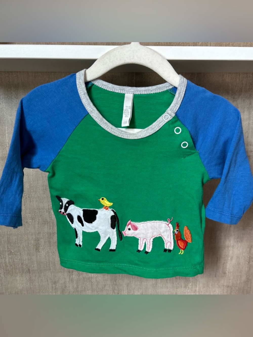 Green & Blue with Farm Animal Appliqués